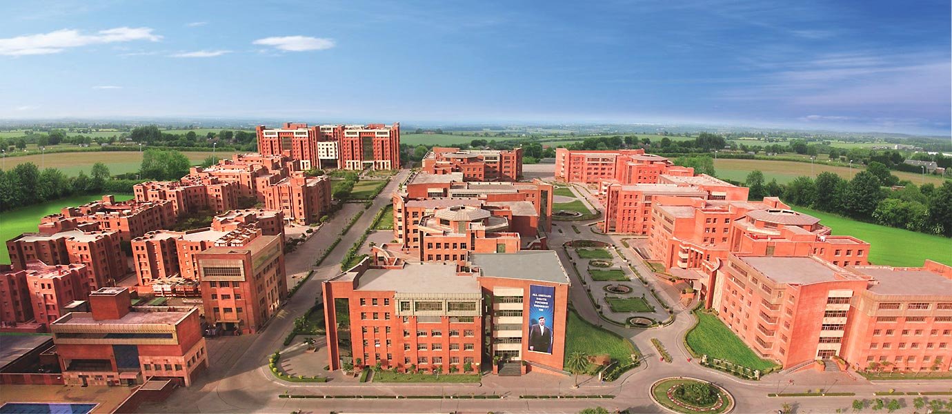 AMITY UNIVERSITY